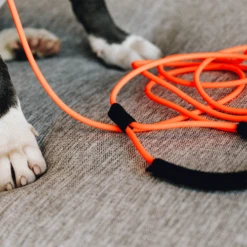 Kentucky Dogwear Sleeplijn Soft Rubber 21 Kentucky Dogwear Sleeplijn Soft Rubber -Hondenbenodigdheden Winkel fL07AS6O7q41v20rSEjIbFFb3sVhGI metaS2VudHVja3ktRG9nd2Vhci1TbGVlcGxpam4tU29mdC1SdWJiZXItb3JhbmdlLXNmZWVyLnBuZw