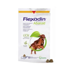 Flexadin Advanced Hond -Hondenbenodigdheden Winkel flexadin advanced 133918 1000 none