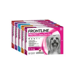 Frontline Protect Hond Spot On 23 Frontline Protect Hond Spot On -Hondenbenodigdheden Winkel frontline protect hond spot on 192809 2000 none
