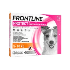 Frontline Protect Hond Spot On 26 Frontline Protect Hond Spot On -Hondenbenodigdheden Winkel frontline protect hond spot on 192812 0500 none