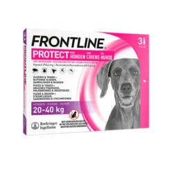 Frontline Protect Hond Spot On 21 Frontline Protect Hond Spot On -Hondenbenodigdheden Winkel frontline protect hond spot on l 20 40 kg 3 pipetten 118969 0500 none