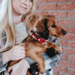 Hunter Collar Love -Hondenbenodigdheden Winkel hunter collar love 223472 1000 none