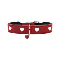 Hunter Collar Love -Hondenbenodigdheden Winkel hunter collar love 55m 137819 1000 none