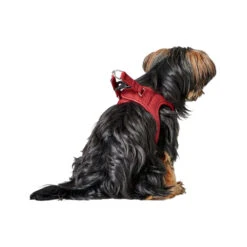 Hunter Harness Love -Hondenbenodigdheden Winkel hunter harness love 223527 1000 none