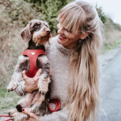 Hunter Harness Love -Hondenbenodigdheden Winkel hunter harness love 223529 0500 none