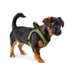 Hunter Hilo Comfort Harnas -Hondenbenodigdheden Winkel hunter hilo comfort harnas 134164 1000 none