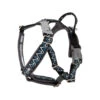 Hurtta Razzle Dazzle Y-Harness - Blackberry 2 Hurtta Razzle Dazzle Y-Harness - Blackberry -Hondenbenodigdheden Winkel hurtta razzle dazzle harness blackberry 3545 cm 106516 2000 none