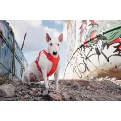 Hurtta Weekend Warrior Eco Harness 30 Hurtta Weekend Warrior Eco Harness -Hondenbenodigdheden Winkel hurtta weekend warrior eco harness 189132 0500 none