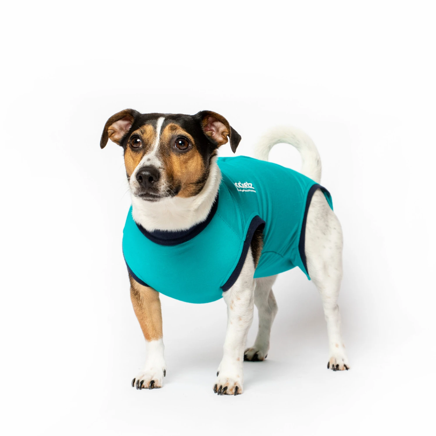 Jacketz Medical Body Suit Hond 9 Jacketz Medical Body Suit Hond - Afbeelding 7