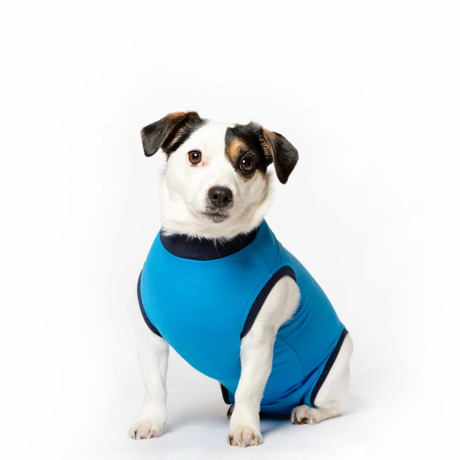 Jacketz Medical Body Suit Hond 4 Jacketz Medical Body Suit Hond - Afbeelding 2