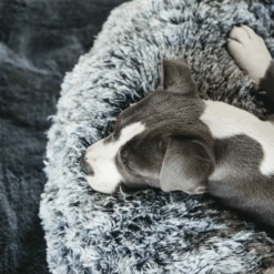 Kentucky Dogwear Comfort Donut Hondenmand 23 Kentucky Dogwear Comfort Donut Hondenmand -Hondenbenodigdheden Winkel kentucky dogwear comfort donut hondenmand 219723 0500 none