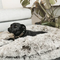 Kentucky Dogwear Comfort Donut Hondenmand 24 Kentucky Dogwear Comfort Donut Hondenmand -Hondenbenodigdheden Winkel kentucky dogwear comfort donut hondenmand 219727 0500 none