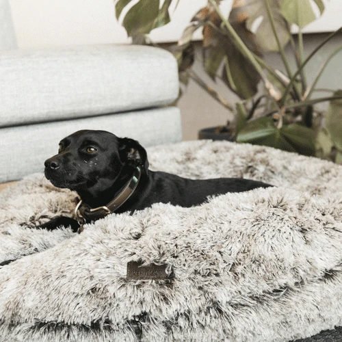 Kentucky Dogwear Comfort Donut Hondenmand 13 Kentucky Dogwear Comfort Donut Hondenmand - Afbeelding 11