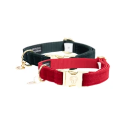 Kentucky Dogwear Corduroy Hondenhalsband -Hondenbenodigdheden Winkel kentucky dogwear corduroy hondenhalsband 219197 0500 none