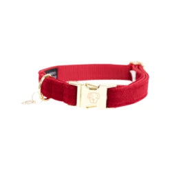 Kentucky Dogwear Corduroy Hondenhalsband -Hondenbenodigdheden Winkel kentucky dogwear corduroy hondenhalsband 219198 0500 none