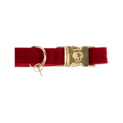 Kentucky Dogwear Corduroy Hondenhalsband -Hondenbenodigdheden Winkel kentucky dogwear corduroy hondenhalsband 219199 0500 none