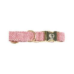 Kentucky Dogwear Hondenhalsband Wool -Hondenbenodigdheden Winkel kentucky dogwear hondenhalsband wool 219709 0500 none