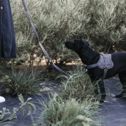 Kentucky Dogwear Hondenharnas Body Safe Wool -Hondenbenodigdheden Winkel kentucky dogwear hondenharnas body safe wool 219214 0500 none