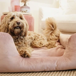 Kentucky Dogwear Velvet Hondenmand 18 Kentucky Dogwear Velvet Hondenmand -Hondenbenodigdheden Winkel kentucky dogwear velvet hondenmand 219658 0500 none