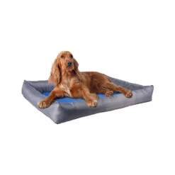 Flamingo Koelmand Fresk Rechthoek -Hondenbenodigdheden Winkel koelmand fresk rechthoek 222645 1000 none