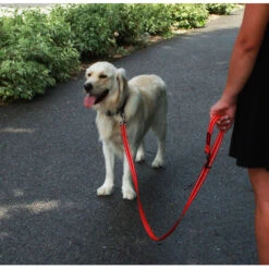 KONG Adjustable Leash -Hondenbenodigdheden Winkel kong adjustable leash zwart 176938 2000 none