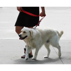 KONG Adjustable Leash -Hondenbenodigdheden Winkel kong adjustable leash zwart 176941 1000 none