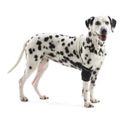 Kruuse Rehab Elleboogbeschermer 6 Kruuse Rehab Elleboogbeschermer -Hondenbenodigdheden Winkel kruuse rehab elleboogbeschermer 142256 2000 none