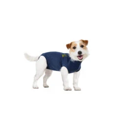 Medical Pet Shirt Hond -Hondenbenodigdheden Winkel medical pet shirt hond 167422 1000 none