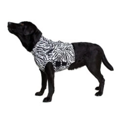 Medical Pet Top Shirt - Zebraprint -Hondenbenodigdheden Winkel medical pet top shirt zebraprint 150698 1000 none