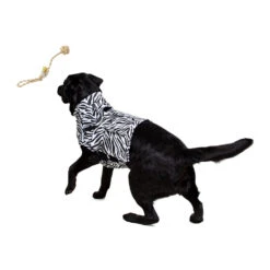 Medical Pet Top Shirt - Zebraprint -Hondenbenodigdheden Winkel medical pet top shirt zebraprint 150701 1000 none