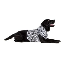 Medical Pet Top Shirt - Zebraprint -Hondenbenodigdheden Winkel medical pet top shirt zebraprint 150704 1000 none