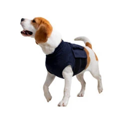 MPS-TOP Shirt 4 In 1 -Hondenbenodigdheden Winkel mps top shirt 4 in 1 149909 2000 none