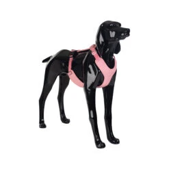 PAIKKA Visibility Harness -Hondenbenodigdheden Winkel paikka visibility harness pink l 134562 2000 none