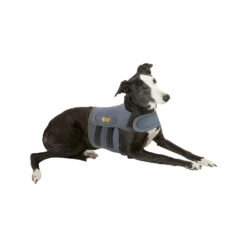 Petlife KarmaWrap Hond 11 Petlife KarmaWrap Hond -Hondenbenodigdheden Winkel petlife karmawrap hond 154186 1000 none