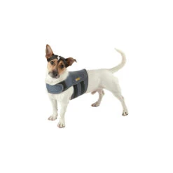 Petlife KarmaWrap Hond 12 Petlife KarmaWrap Hond -Hondenbenodigdheden Winkel petlife karmawrap hond 154189 1000 none