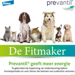 Bayer Prevantil -Hondenbenodigdheden Winkel prevantil 195257 2000 none