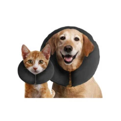 ZenPet Pro Collar 27 ZenPet Pro Collar -Hondenbenodigdheden Winkel prod 5331 88992 0500 none