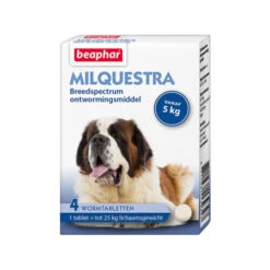 Beaphar Milquestra Hond 16 Beaphar Milquestra Hond -Hondenbenodigdheden Winkel product beaphar milquestra hond none 4 1463652830 69012