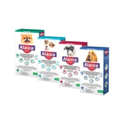 Ataxxa 29 Ataxxa -Hondenbenodigdheden Winkel qHDDj8RGq0OyrQuWaFNULOZfRk2Hi6 metaQXRheHhhLU92ZXJ6aWNodHNmb3RvLUpwZy5qcGc