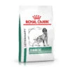 7kg Veterinary Diet Diabetic Royal Canin Veterinary Diet Hondenvoer -Hondenbenodigdheden Winkel rc vet dry dogdiabetic mv eretailkit de de 6