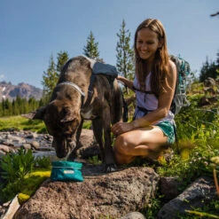 Ruffwear Flat Out Dog Collar - Alpenglow Burst -Hondenbenodigdheden Winkel ruffwear flat out dog collar alpenglow burst 204812 0500 none