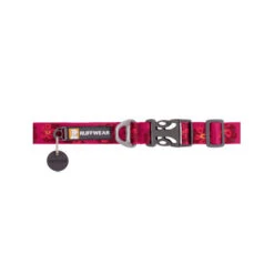 Ruffwear Flat Out Dog Collar - Alpenglow Burst -Hondenbenodigdheden Winkel ruffwear flat out dog collar alpenglow burst 204824 0500 none