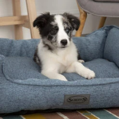 Scruffs Manhattan Box Bed -Hondenbenodigdheden Winkel scruffs manhattan box bed 209507 1500 none