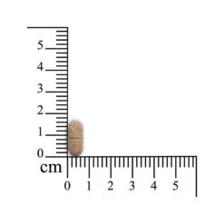 Sensipharm Inconti Stop Hond -Hondenbenodigdheden Winkel sensipharm inconti stop hond 174532 1000 none