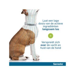 Seresto Hond -Hondenbenodigdheden Winkel seresto hond 174112 0500 none