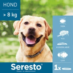 Seresto Hond -Hondenbenodigdheden Winkel seresto hond 180928 1000 none