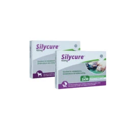 Silycure -Hondenbenodigdheden Winkel silycure 151120 2000 none