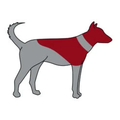 Trixie Opblaasbare Beschermkraag -Hondenbenodigdheden Winkel trixie opblaasbare beschermkraag 101866 0500 none