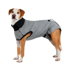 Trixie Operatie Hondenjas 22 Trixie Operatie Hondenjas -Hondenbenodigdheden Winkel trixie operatie hondenjas 95186 0500 none