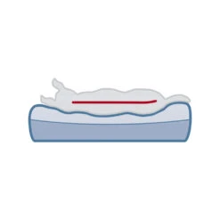 Trixie Vitaal Matras Bendson - Donkerbruin/Beige -Hondenbenodigdheden Winkel trixie vitaal matras bendson donkerbruinbeige 178699 1000 none